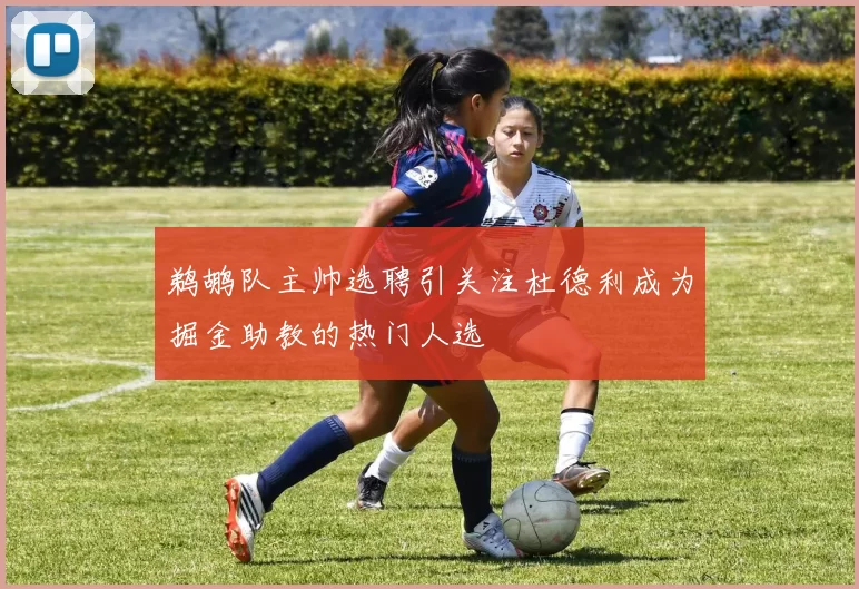 鹈鹕队主帅选聘引关注杜德利成为掘金助教的热门人选