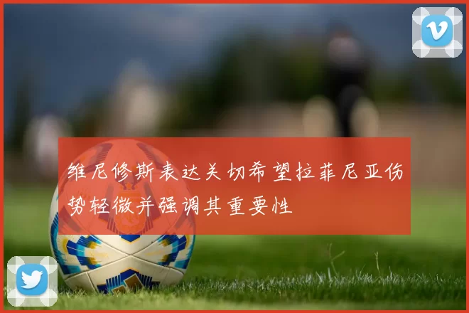 维尼修斯表达关切希望拉菲尼亚伤势轻微并强调其重要性